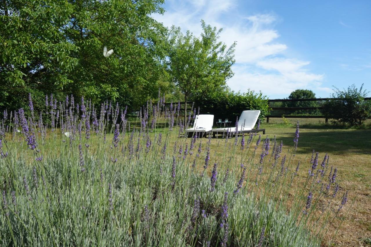 Le Cottage Du Coudray, Gite Avec Chalet Sauna La Fresnaie-Fayel Buitenkant foto
