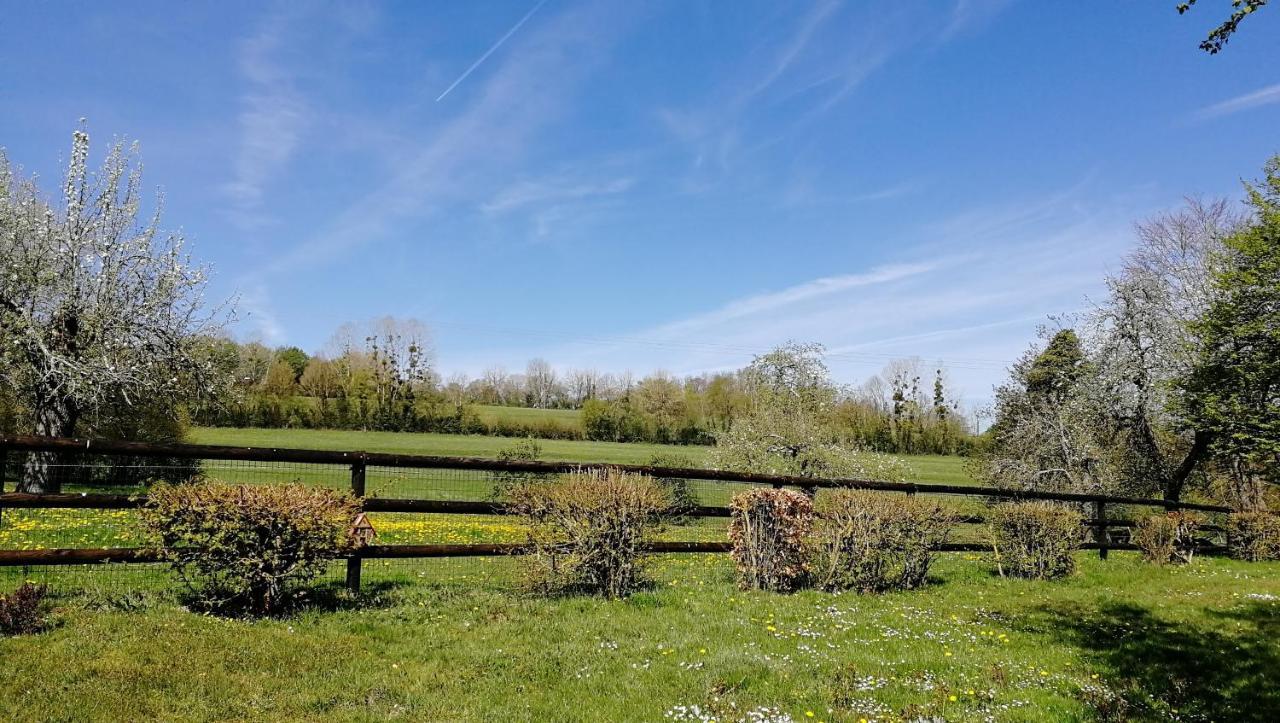 Le Cottage Du Coudray, Gite Avec Chalet Sauna La Fresnaie-Fayel Buitenkant foto